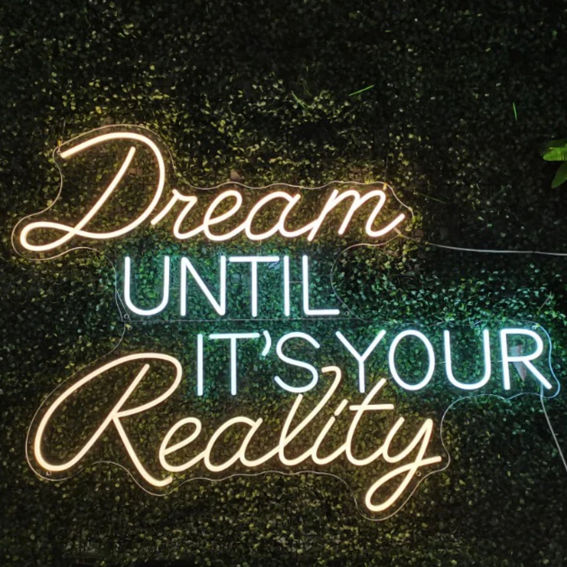 Dream Until It's Your Reality Neon Sign